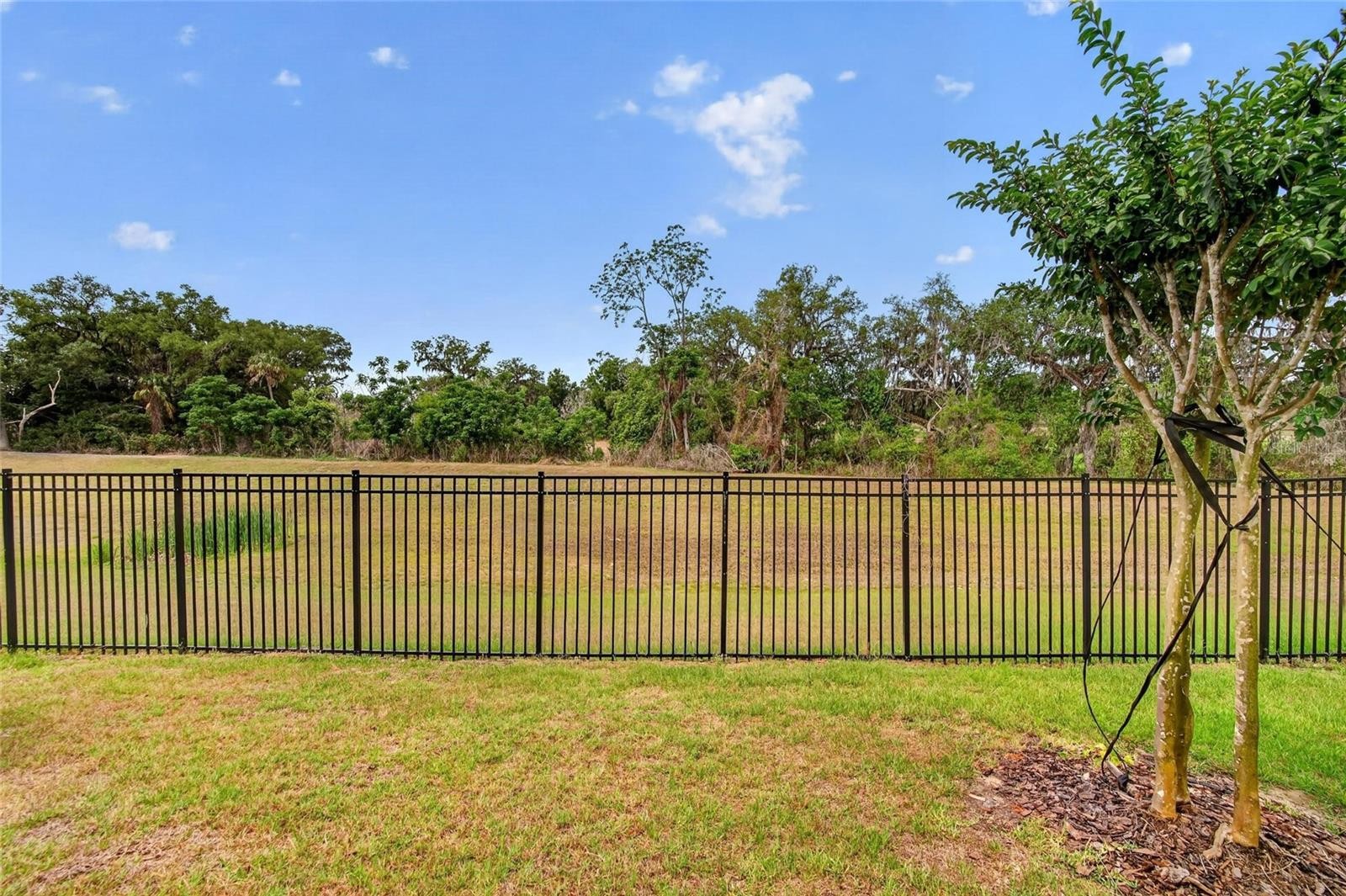 ๐๏ธ 4.75% Subto Townhome in Zephyrhills FL ๐ Up to $3,750/mo on Airbnb ๐ Solar + EV โ๏ธ About 9% Down ๐ช NO Pre-approval or Credit Check โ - photo 26
